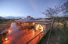 7 Days: Great Migration Mara River Crossing(manyara, Ngorongoro And Serengeti)
