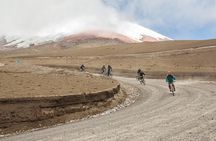Premium Cotopaxi -Full Day Bike Trip & Quito Tour