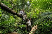 Langkawi Rainforest Jungle Trekking Tour with Private Pickup