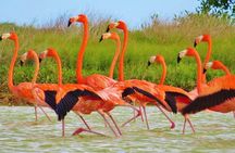 Las Coloradas