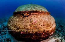 2 Tank Dives MUSA and Manchones reef (Certified divers)