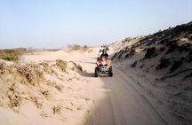 2h quad biking on the beach of Essaouira