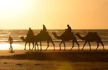 Camel Ride on the Beach of Essaouria