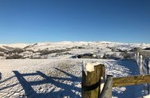 Stunning Lake District 4 Hour Tours! 