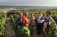 Small Group - Full Day Champagne Tour 3 Small Champagne Growers