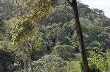 Since 2003: Roatan's ORIGINAL Customizable Best of Roatan Tour