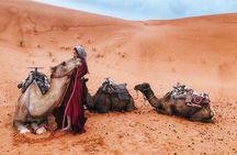 Fes to Marrakech 4 days desert tours