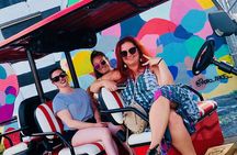 1 Hour WYNWOOD BUGGIES tour