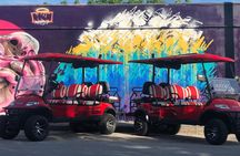 1 Hour WYNWOOD BUGGIES tour