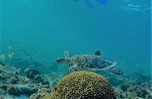 Catamaran Group Sightseeing, Snorkeling Tour Isla Mujeres