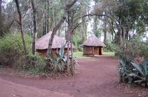 Bomas of Kenya Half-Day Tour from Nairobi