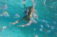 Cancun Adventure: Reef Snorkeling & Parasailing Experience