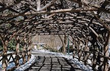 #1 Central Park Tour | 100% Satisfaction Guaranteed | 12ppl Max