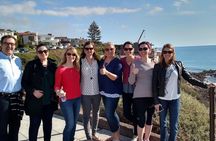 Orange County Coastal Sightseeing Tour