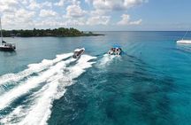 Saona Island Excursion by Catamaran and Speedboat