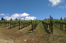 6 Hour Napa or Sonoma Wine Tour in Private Limousine