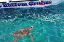 Cruise to turtle's island and caves with a glass bottom boat