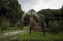 Gamboa Aerial Tram and Sloth Sanctuary