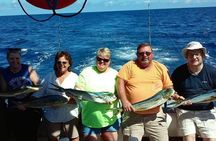 Half Day Big Game Fishing private charter