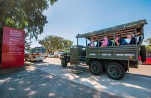 Darwin History and Wartime Experience Tour
