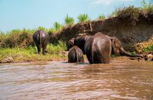 11 Day Tuk Tuk Adventure in Northern Thailand