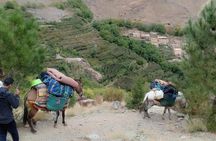 3 Day Trek in the Atlas Mountains and Berber Villages from Marrakech
