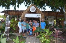Roatan Top 5 Island Highlights Tour