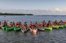 Bio Bay Night Kayaking with Transport from San Juan 