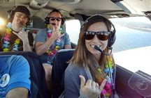 Whale Watching Air Tour
