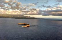 Air Tour 5 Islands of Maui