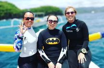 Snorkelling in Padang Bai