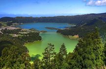 Private Full-Day Rotorua Tour from Auckland