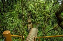 Cameron Highland Day Tour from Kuala Lumpur