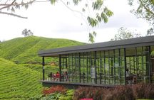 2Days 1Night Cameron Highland and Penang Island Private Tour from Kuala Lumpur