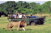 Pilanesberg full day safari private 
