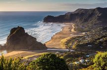 Private Tour: Auckland City and Countryside Tour