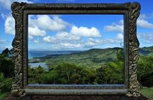 Private Tour: Auckland City and Countryside Tour