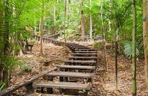 Taman Negara Day Tour with Canopy Walk