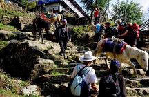 Annapurna Base Camp trek