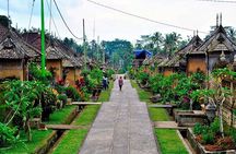 Besakih Temple Tour - Traditional Bali Village - All Inclusive