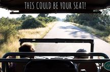 Full Day Safari in the Kruger National Park from Hazyview