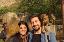 5 Nights 6 Days Private Golden Triangle Tour - Delhi Agra Jaipur