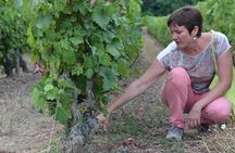 Tour of a Vineyard, Winery & Cellar with Wine Tasting in Vouvray, Loire Valley