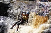 5 Day Garden Route and Addo Safari - Best of South Africa Small Group Tour