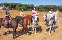 Horse Riding Excursion from Seville