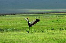 6 Days: Tanzania Classic Budget Camping And Culture.