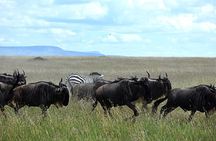 6 Days: Tanzania Classic Budget Camping And Culture.