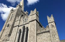 Dublin Half Day Tour with a Local: 100% Personalized & Private