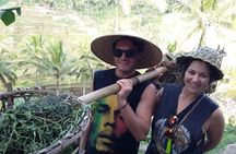 Full-Day Ubud Village including Mt Batur Tirta Empul and Sightseeing Tour