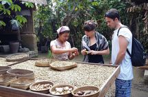 Full-Day Ubud Village including Mt Batur Tirta Empul and Sightseeing Tour